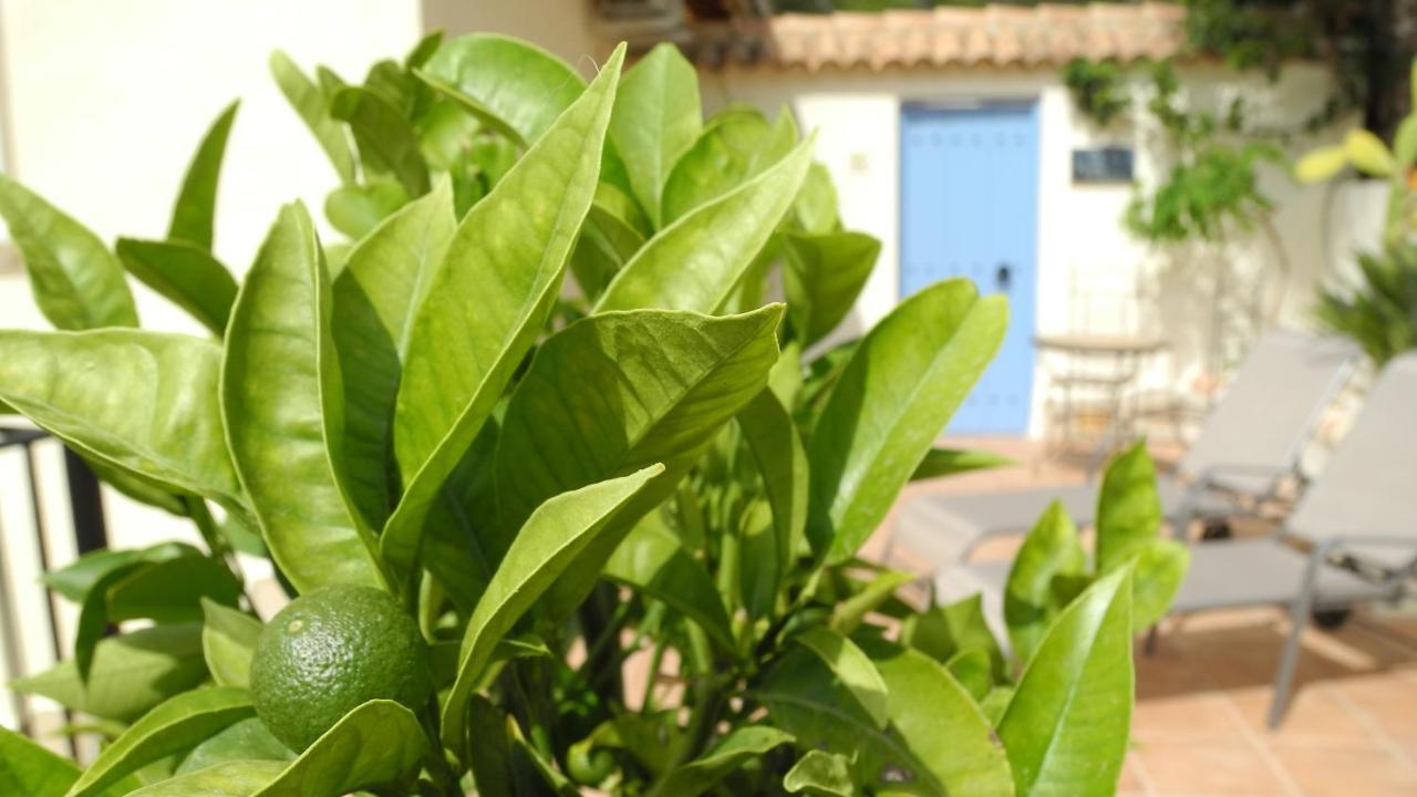 Casa Romero Lliber 외부 사진